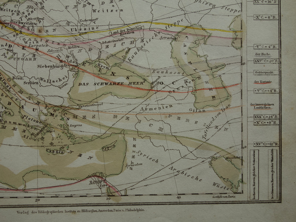 BOTANICAL map of Europe from 1850 old hand colored phytogeography map - vintage print