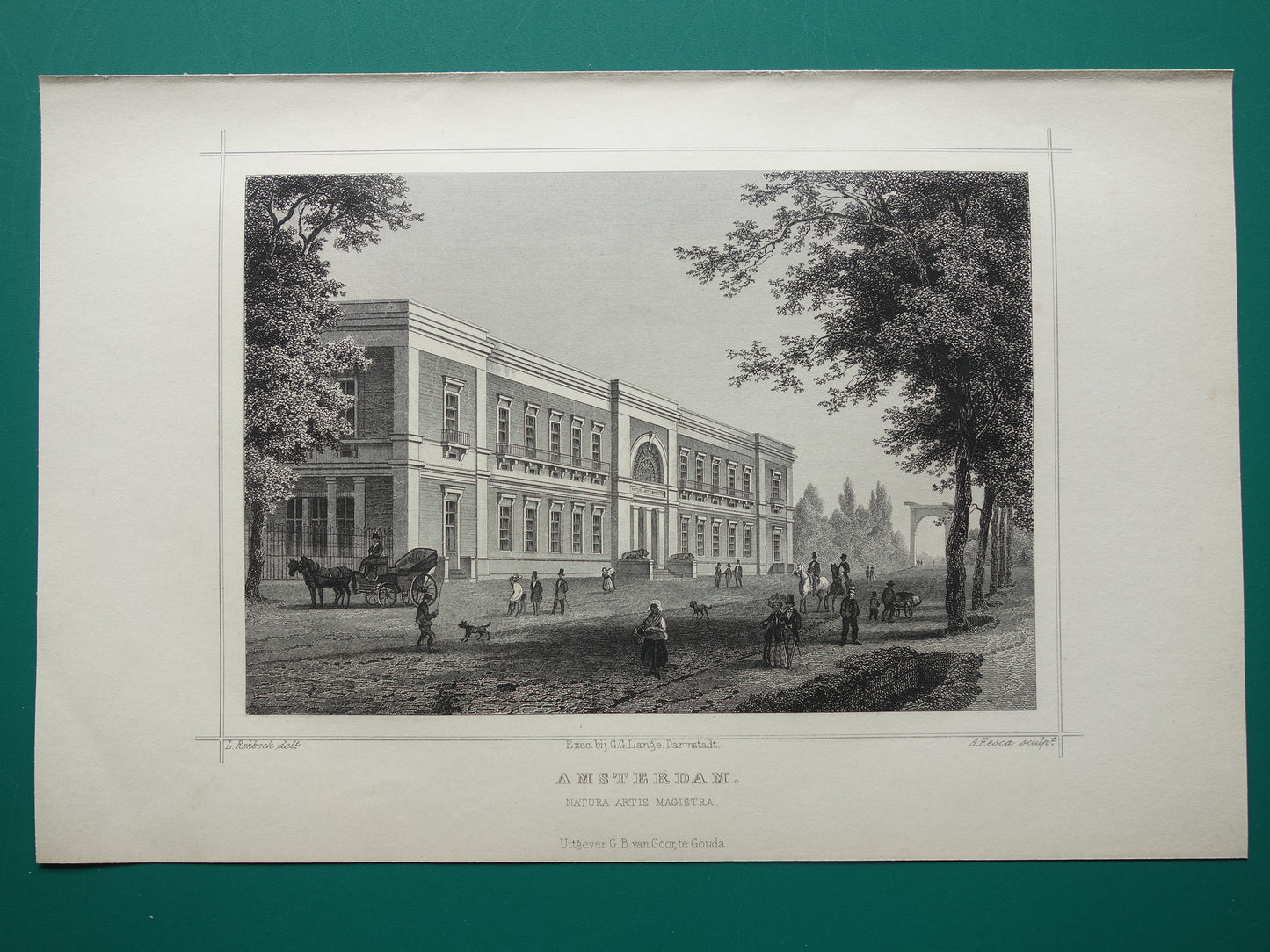 dierentuin artis amsterdam cadeau idee vintage muurdecoratie