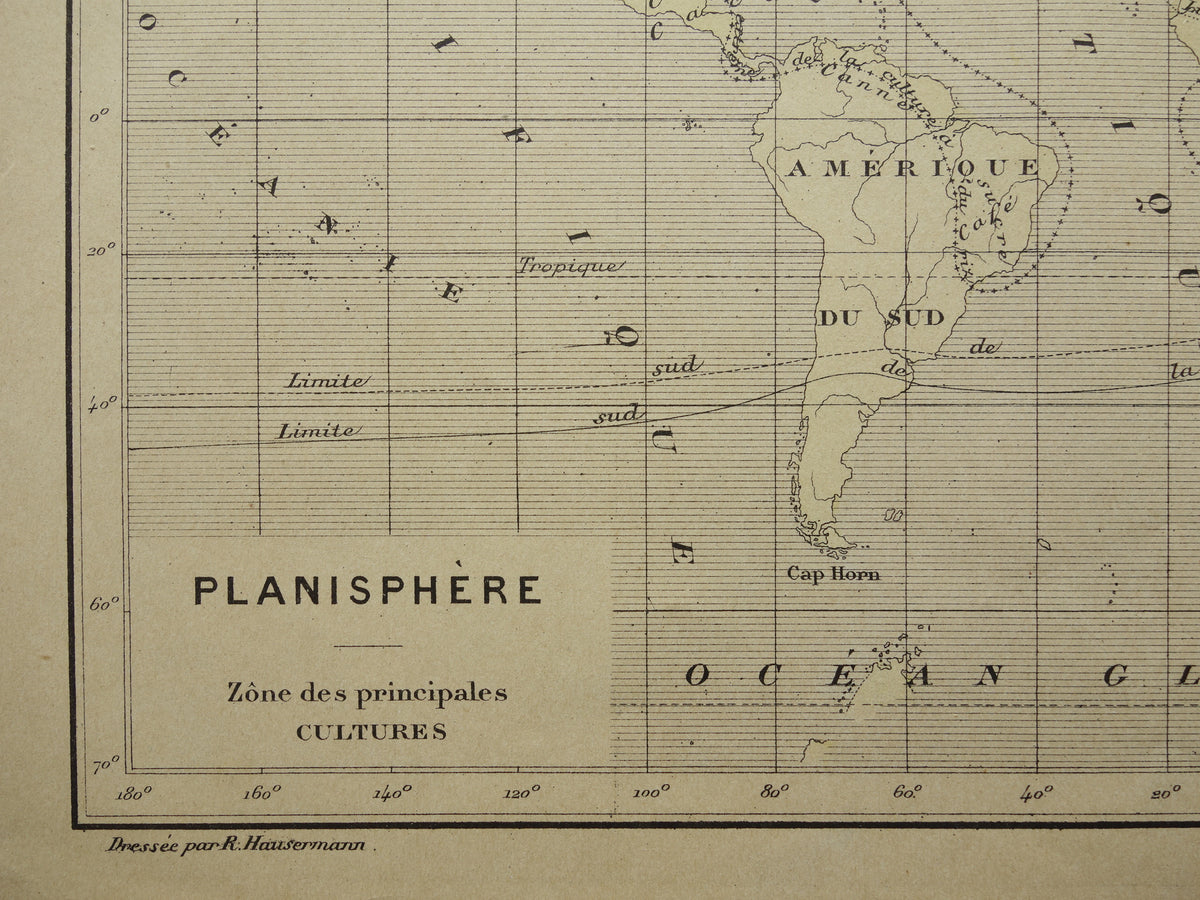 Old Thematic World Map on Crops Original Antique French Map Distribution of Crops