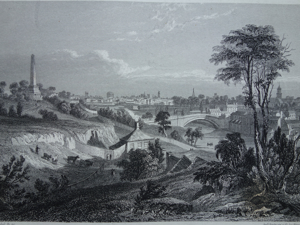 Stadsgezicht van Dublin Ierland uit 1852 antieke print Dublin panorama
