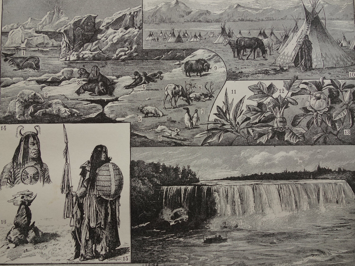 CANADA Oude landkaart van Canada uit 1902 Originele antieke kaart vintage print