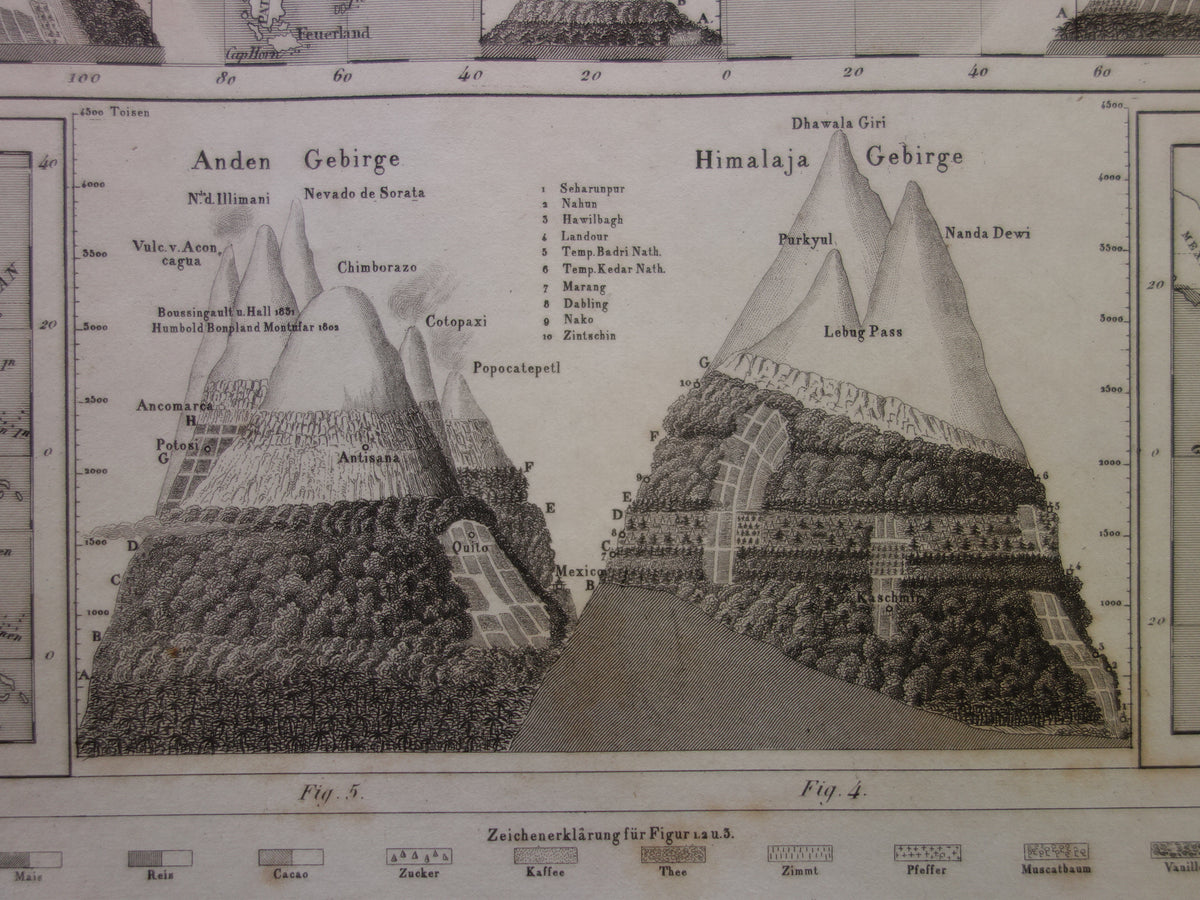 Antique WORLD MAP old map of the World from 1849 Agriculture Crops Agriculture