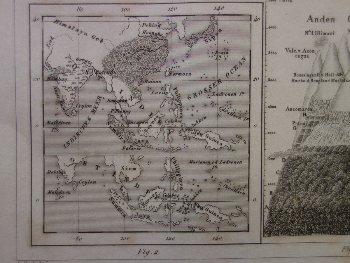 Antique WORLD MAP old map of the World from 1849 Agriculture Crops Agriculture