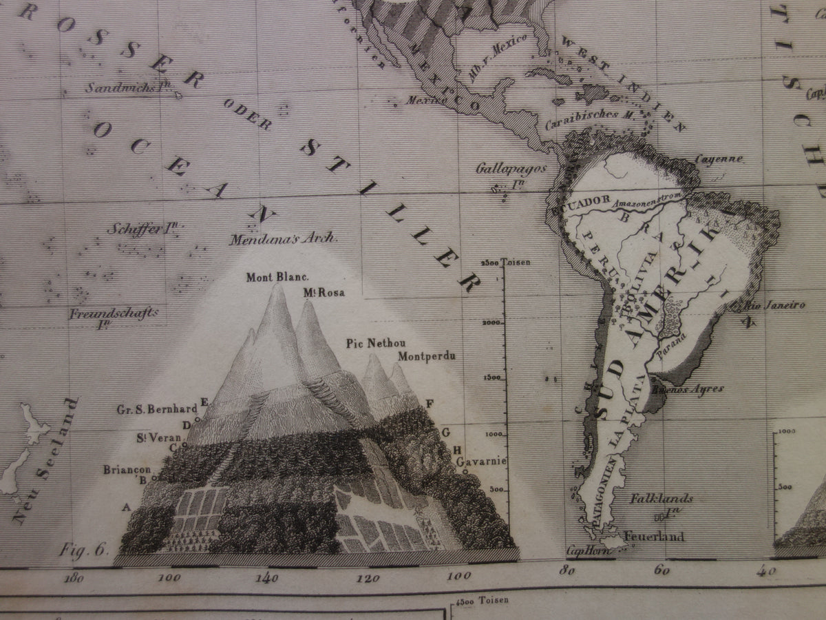 Antique WORLD MAP old map of the World from 1849 Agriculture Crops Agriculture