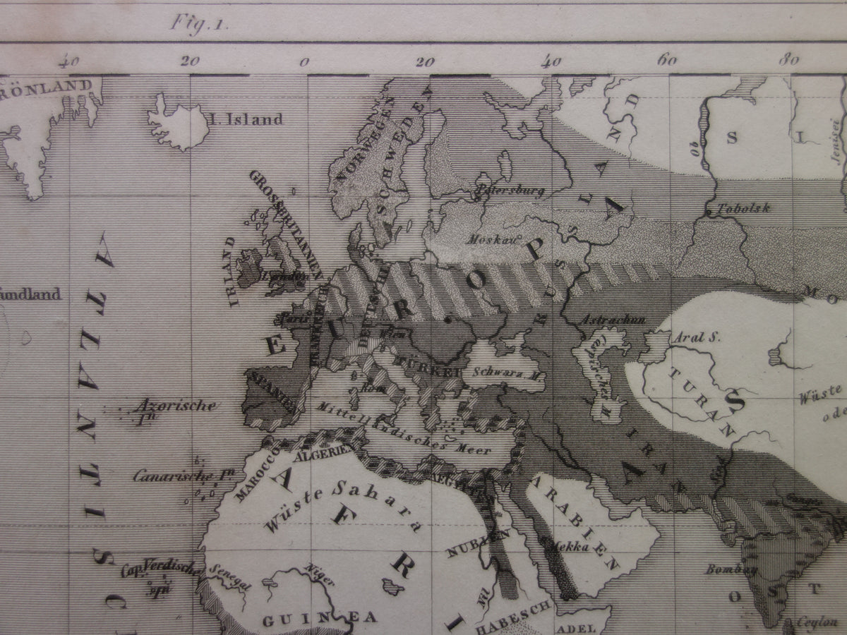 Antique WORLD MAP old map of the World from 1849 Agriculture Crops Agriculture