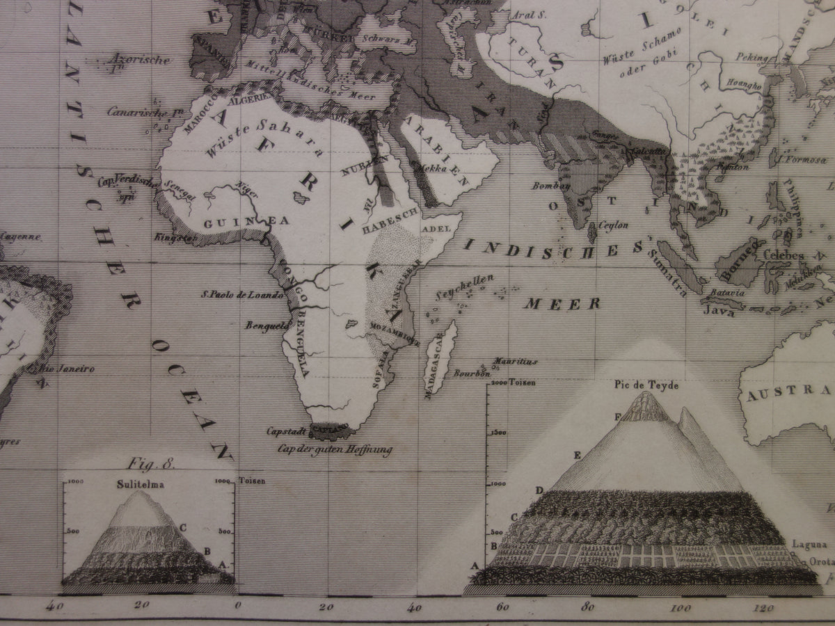 Antique WORLD MAP old map of the World from 1849 Agriculture Crops Agriculture