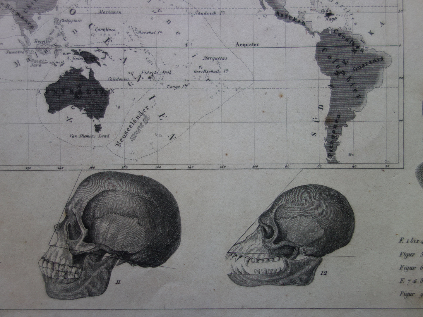 Vintage WORLD MAP old map of the World from 1849 Antique print Anthropology Human Races