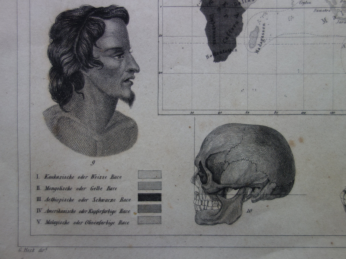 Vintage WERELDKAART oude kaart van de Wereld uit 1849 Antieke print Antropologie Menselijke Rassen