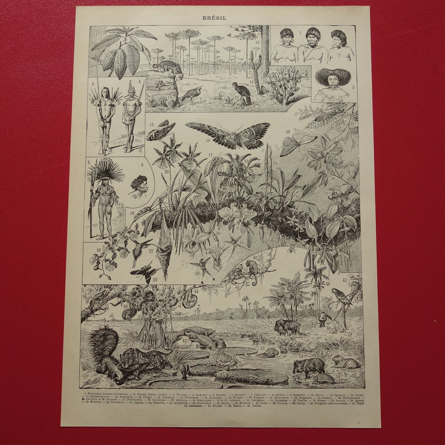 BRAZILIË Oude kaart van Brazilië uit 1902 Originele antieke landkaart vintage print Rio de Janeiro