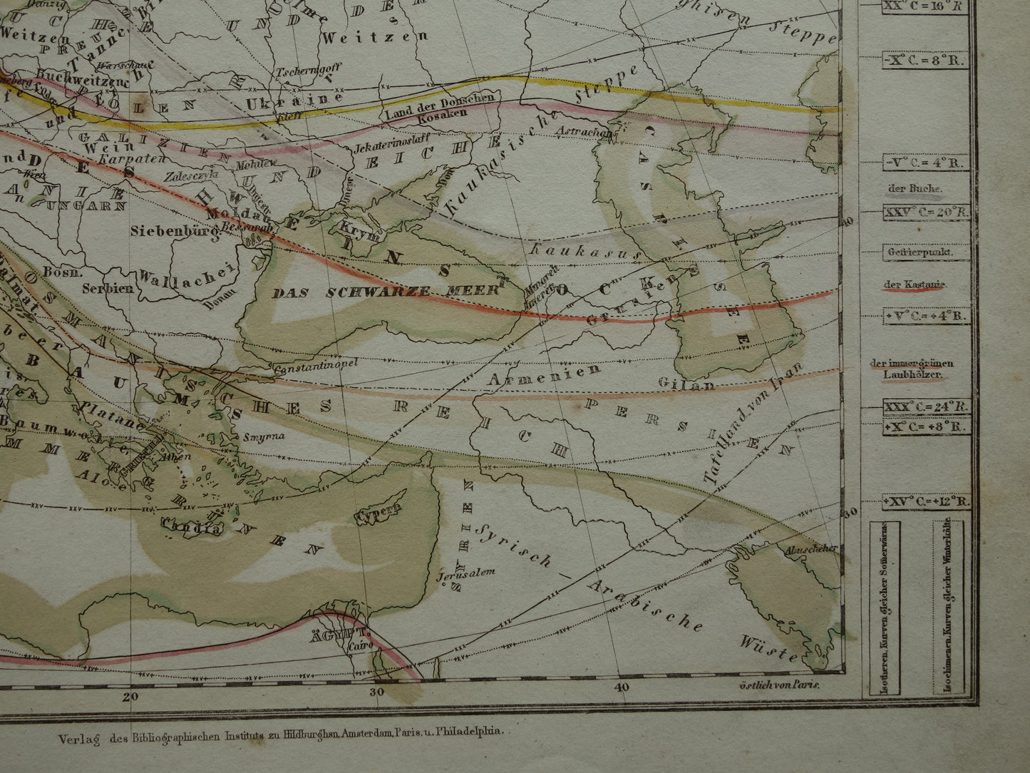 BOTANICAL map of Europe from 1850 old hand colored phytogeography map - vintage print