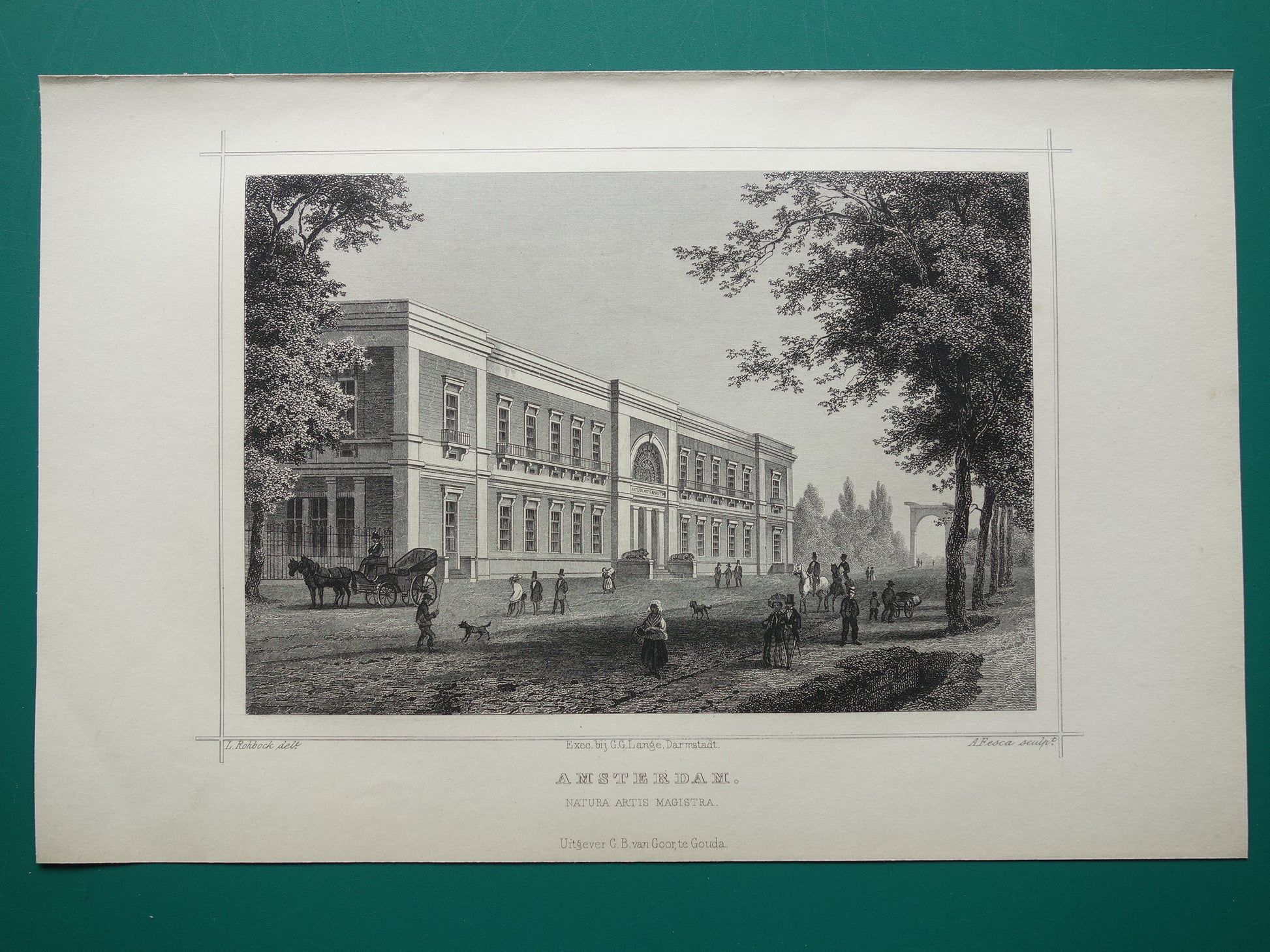 dierentuin artis amsterdam cadeau idee vintage muurdecoratie