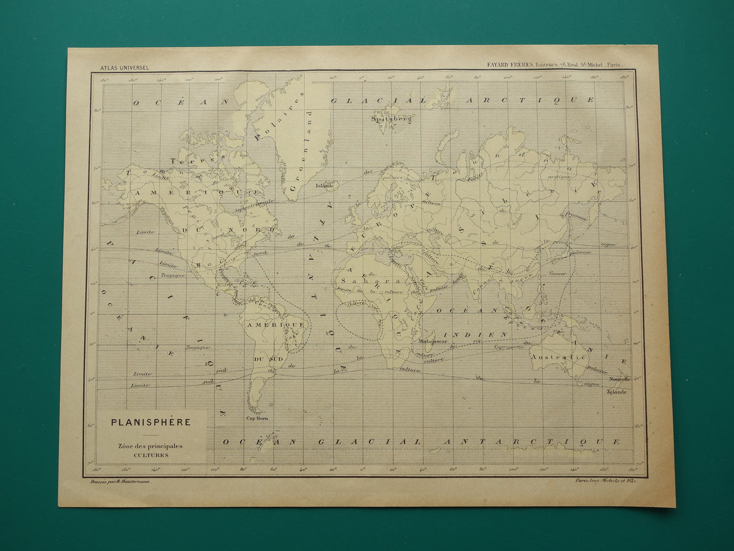 Old Thematic World Map on Crops Original Antique French Map Distribution of Crops