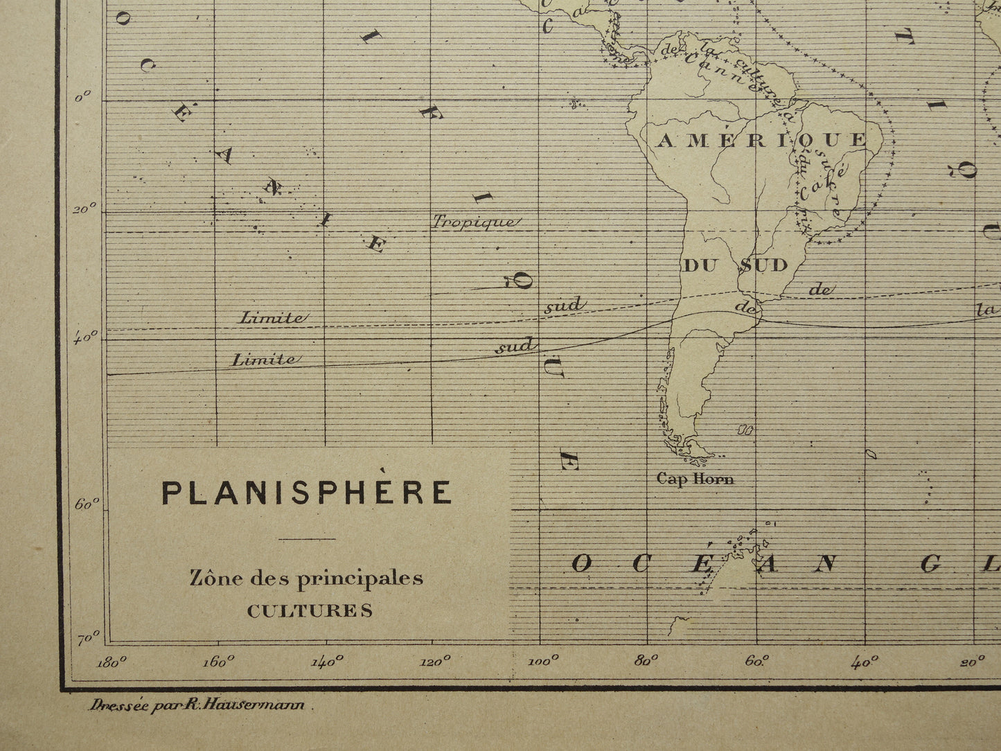 Old Thematic World Map on Crops Original Antique French Map Distribution of Crops