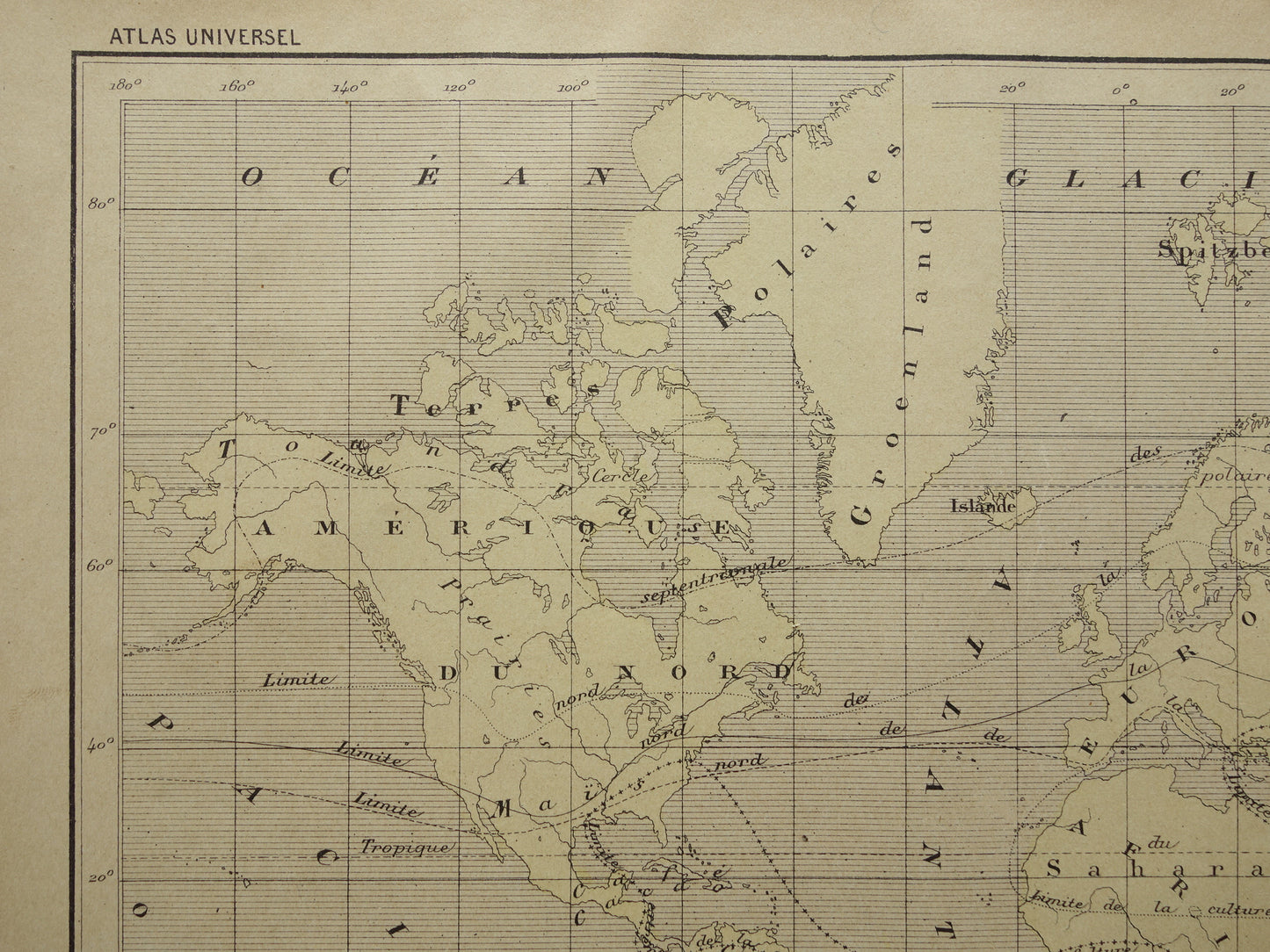 Old Thematic World Map on Crops Original Antique French Map Distribution of Crops