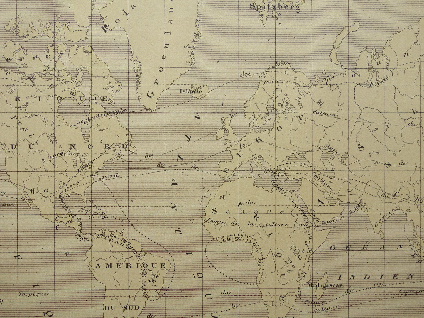 Old Thematic World Map on Crops Original Antique French Map Distribution of Crops