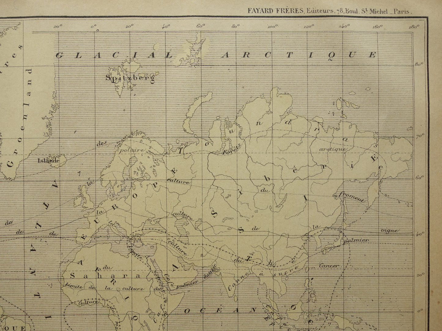 Old Thematic World Map on Crops Original Antique French Map Distribution of Crops