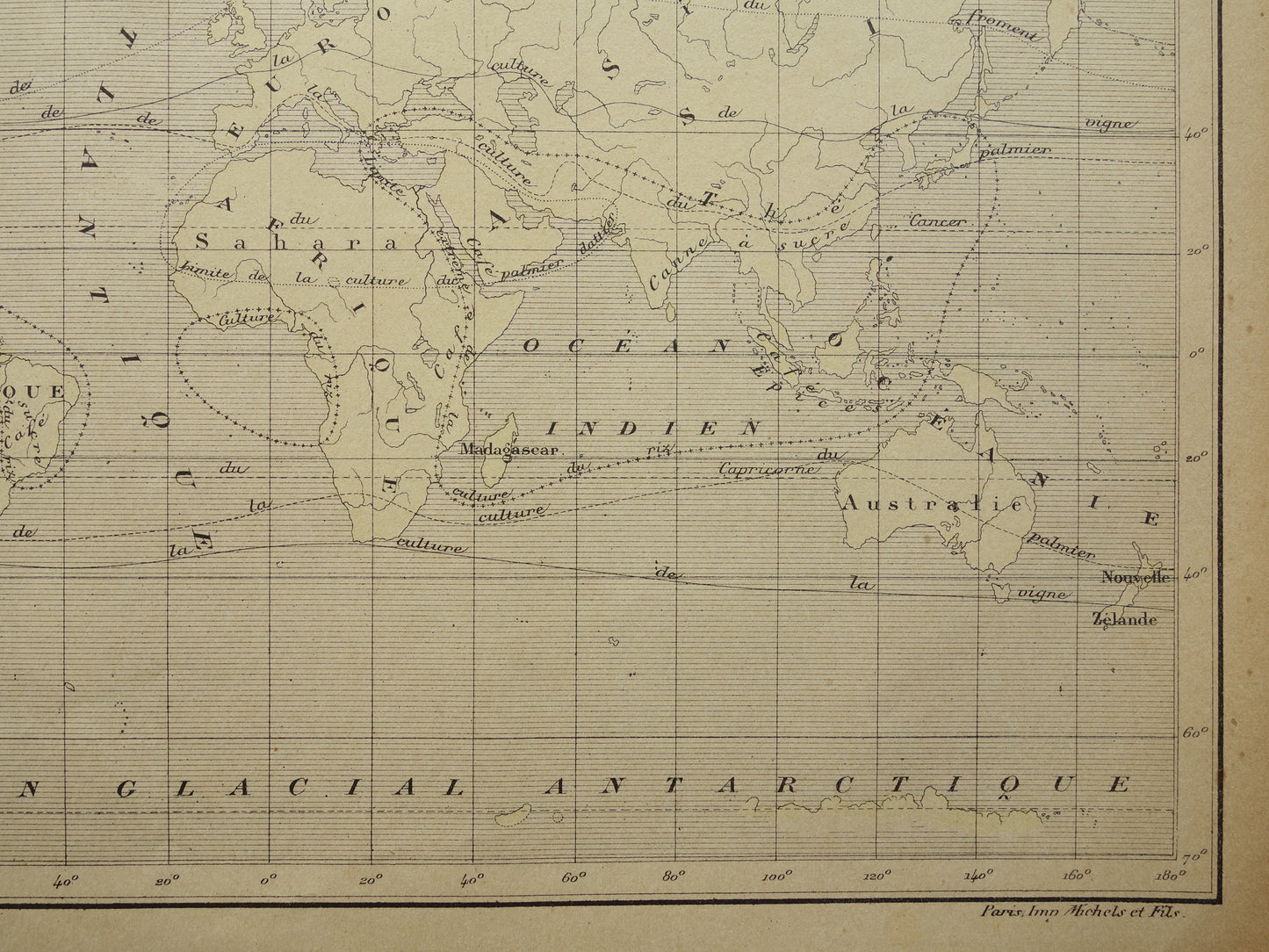 Old Thematic World Map on Crops Original Antique French Map Distribution of Crops