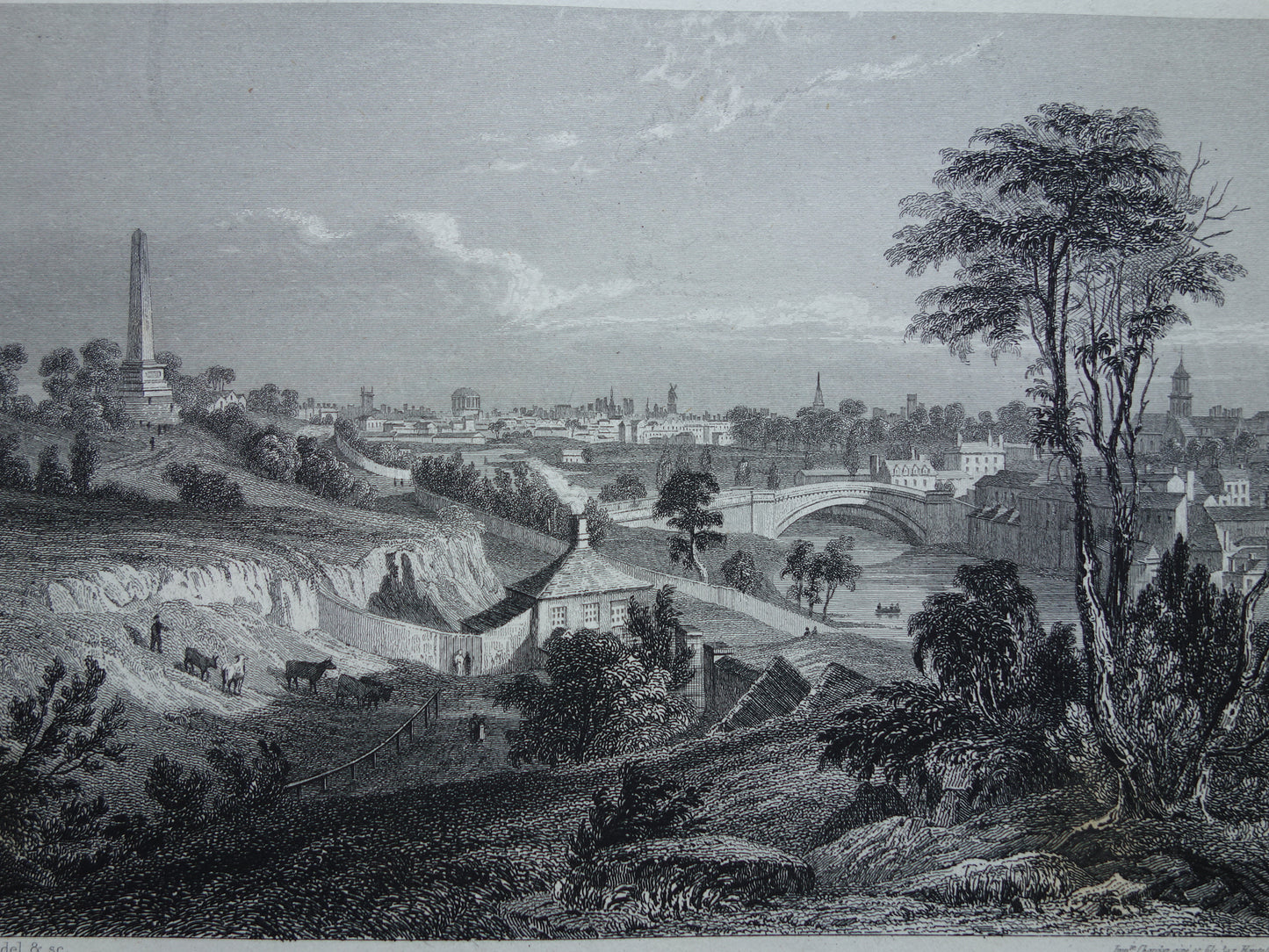 Stadsgezicht van Dublin Ierland uit 1852 antieke print Dublin panorama
