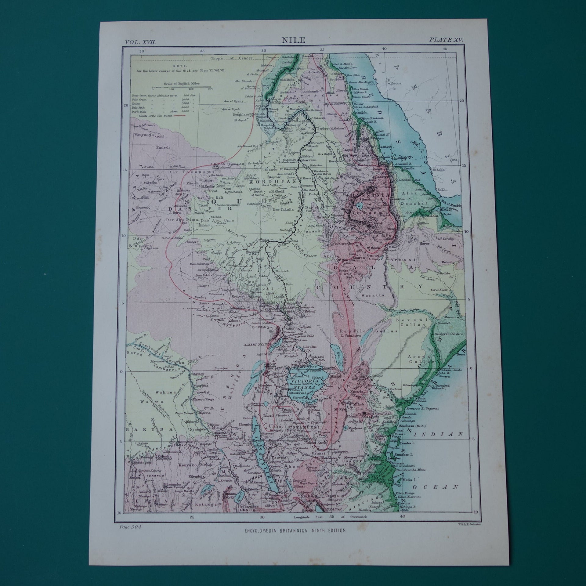 Rivier de Nijl oude kaart van bovenloop Nijl originele antieke Engelse landkaart uit 1884 vintage kaarten Soedan Victoriameer