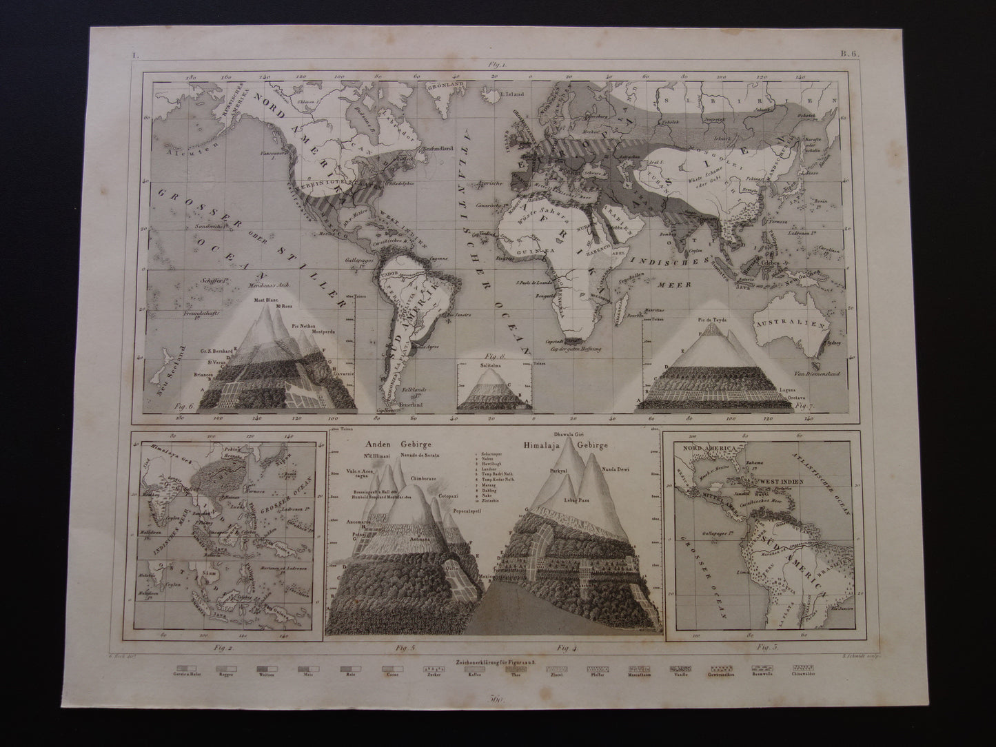 Antique WORLD MAP old map of the World from 1849 Agriculture Crops Agriculture