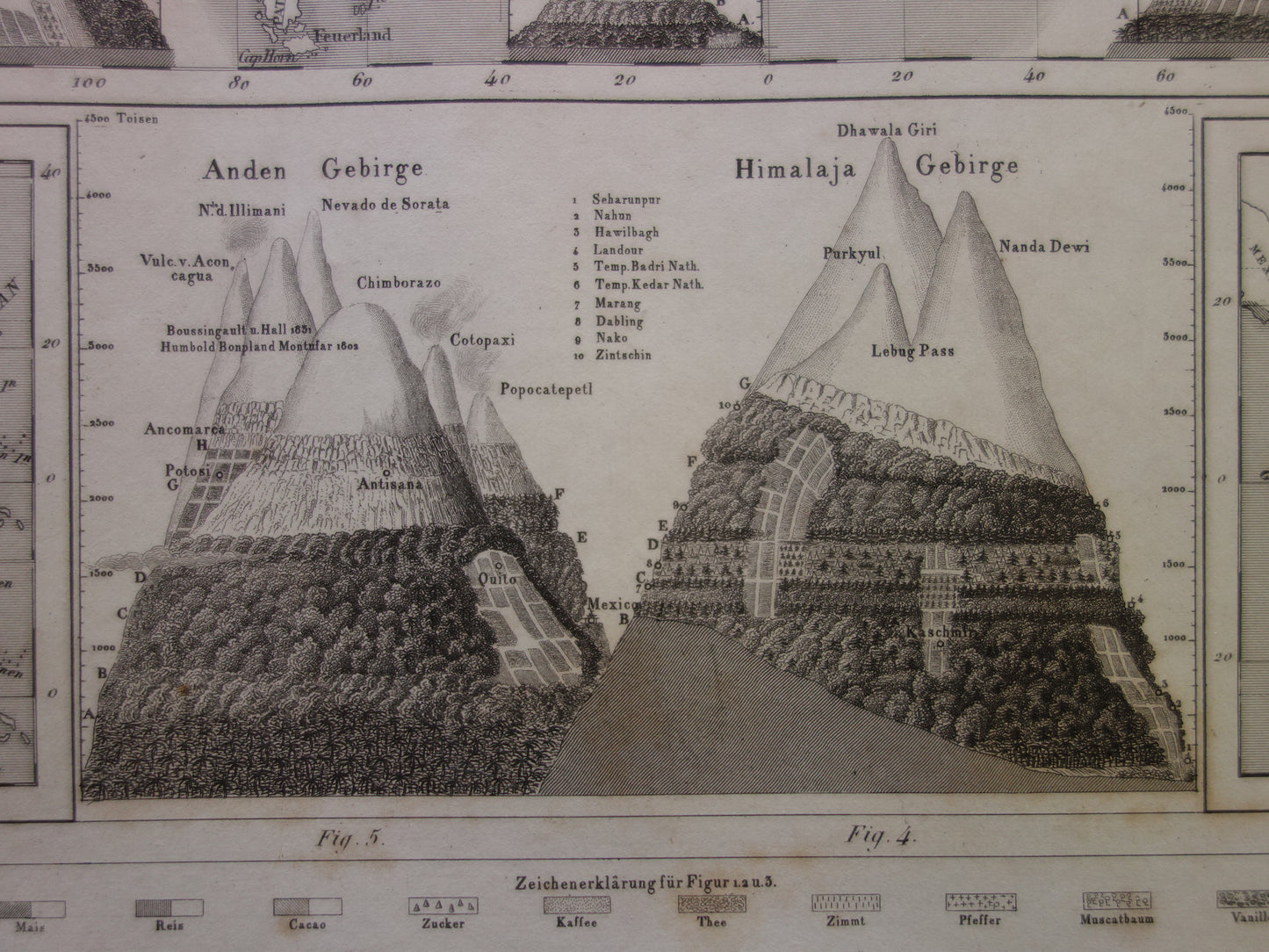 Antique WORLD MAP old map of the World from 1849 Agriculture Crops Agriculture