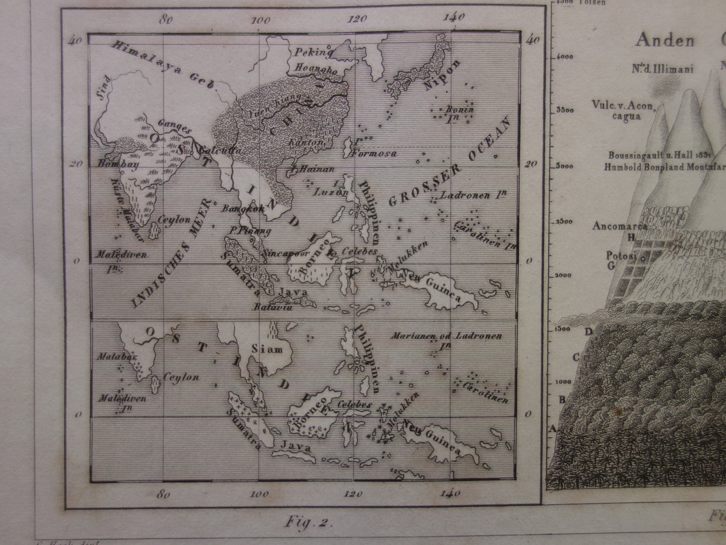 Antique WORLD MAP old map of the World from 1849 Agriculture Crops Agriculture