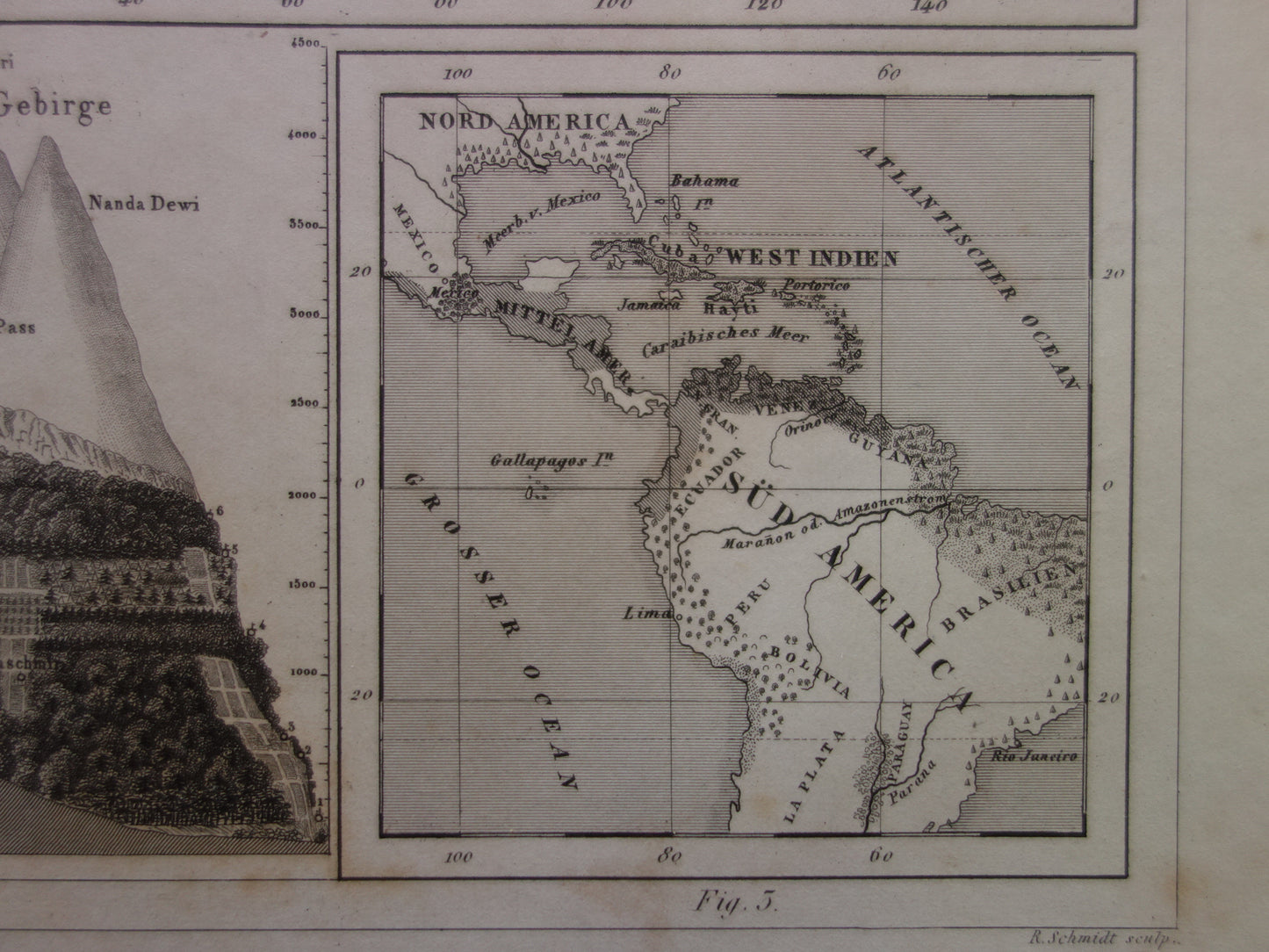 Antique WORLD MAP old map of the World from 1849 Agriculture Crops Agriculture