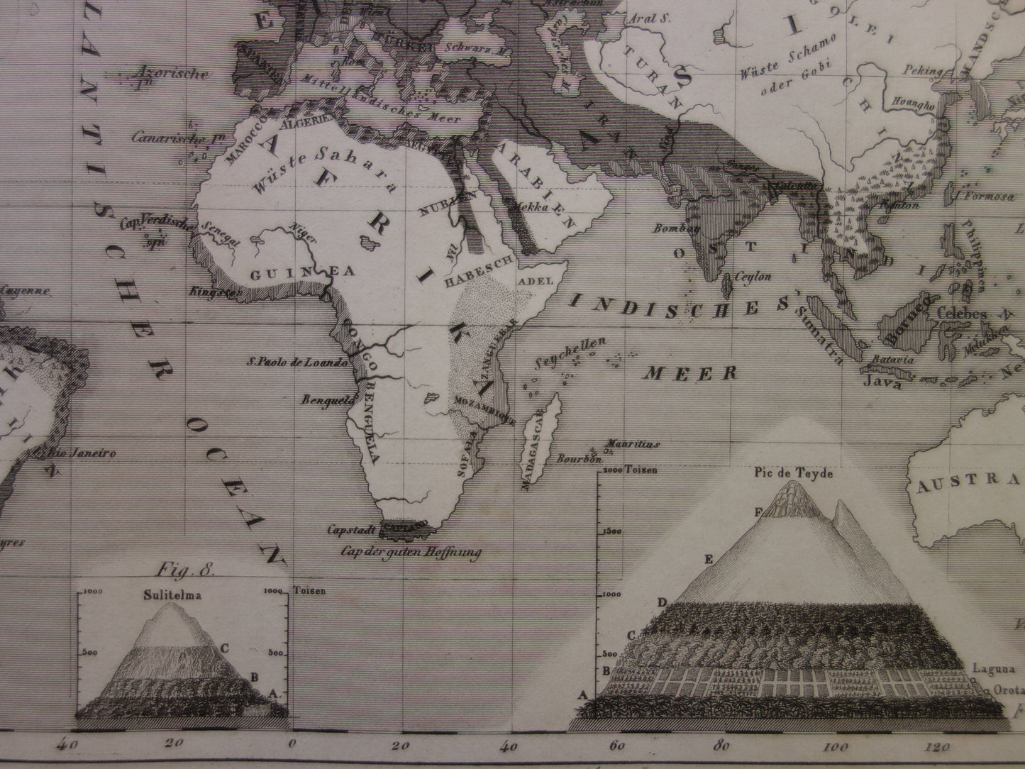 Antique WORLD MAP old map of the World from 1849 Agriculture Crops Agriculture
